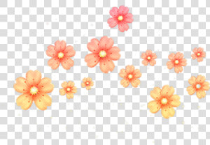  flower  orange  glitter  nature  overlays   Emoji Flor Png  Transparent Png
