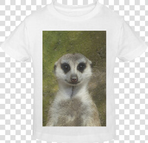 Funny Meerkat 001 Sunny Youth T shirt   Meerkat  HD Png Download