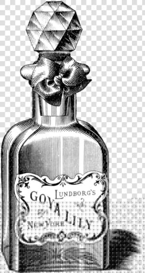 Transparent Vintage Woman Png   Old Fashioned Poison Bottle  Png Download