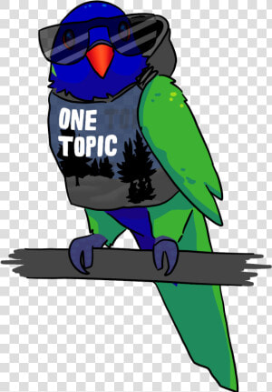 Parakeet  HD Png Download