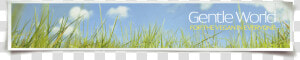 Gentle World Header Image   Grass  HD Png Download