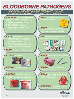 Bloodborne Pathogens Poster  HD Png Download