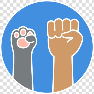 Wtf Meme Png   Png Download   Camera Icon  Transparent Png