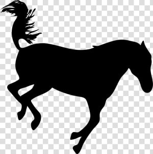 Mane  HD Png Download