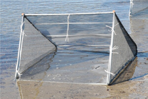 Fishfighter Net Collapsible   Sea  HD Png Download