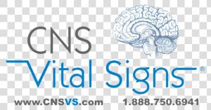 Vital Signs   Graphic Design  HD Png Download