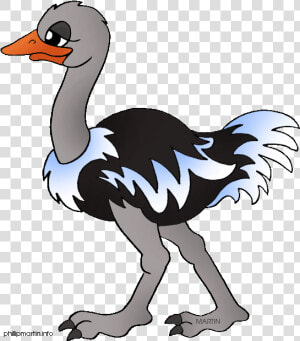 Cartoon Picture Of Ostrich   Ostrich Sentence In English  HD Png Download