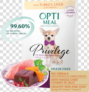 Transparent Small Dog Png   Оптимил Для Собак  Png Download
