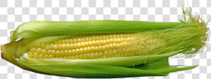 Mazorca Png  Transparent Png