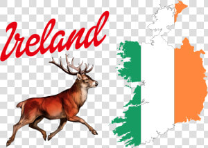 Ireland Flag Logo Png   Ireland Flag With Coat Of Arms  Transparent Png