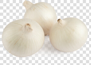 White Onion   Cebolla Blanca Png  Transparent Png