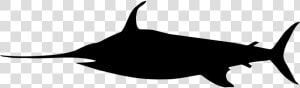 Swordfish Png  Transparent Png