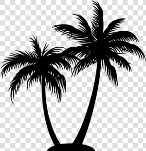 Palm Tree Logo On Black And White   Coconut Tree Silhouette Png  Transparent Png