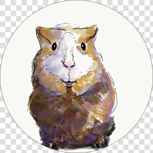 Transparent Hamster Png  Png Download