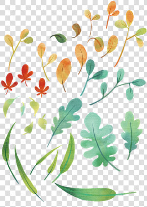 Plantas  Las Hojas  Hojas  Hoja De Arce  Patrón  Fondo   Floral Design  HD Png Download