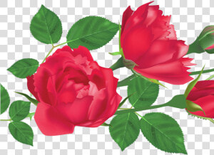 Red Rose Clipart Leaf Png   Transparent Png Rose Leaf Png  Png Download