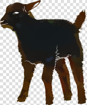 Silhouette Vector Graphics Image Sheep Photograph   Lamb Silhouette Png  Transparent Png