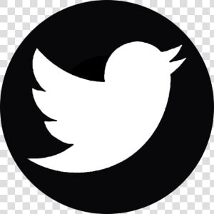 Twitter   Twitter White Logo Png  Transparent Png