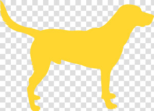 Black Labs Matter  HD Png Download