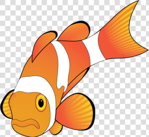 Crabs Clipart Clown Fish   Microsoft Office Clipart Animals  HD Png Download