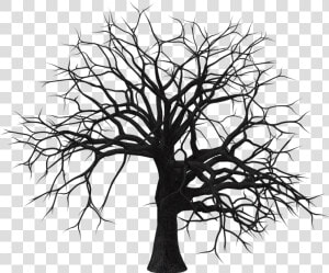 Clipart Leaf Hickory   Vector Dry Tree Png  Transparent Png