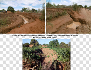 Agriculture  HD Png Download