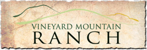 Vineyard Mountain Ranch   Titanic Exhibition  HD Png Download
