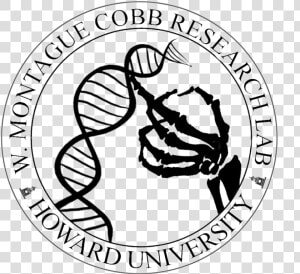 Cobb Seal Clear Black   Illustration  HD Png Download