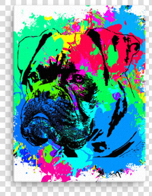 Boxer Colorful Splash Paint Canvas   Png Download   Illustration  Transparent Png