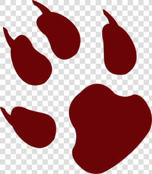 Animal Footprint Png Image   Animal Footprint Png  Transparent Png
