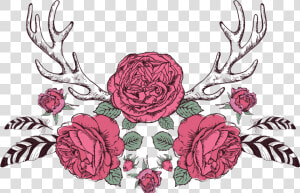 Deer Antlers With Flowers And Arrow  HD Png Download