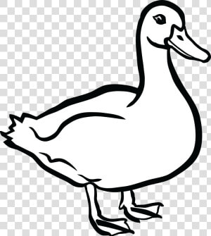 Duck Black And White   Clip Art Black And White Duck  HD Png Download