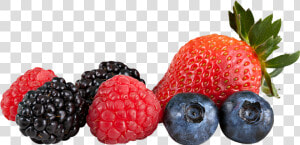 Download Berries Transparent Png For Designing Projects   Rhubarb Berry Jam Scentsy  Png Download