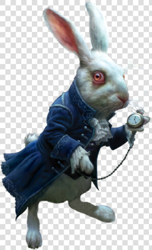 White Rabbit Png   Alice In Wonderland Rabbit Png  Transparent Png