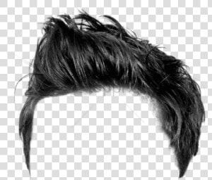 Transparent Trump Hair Png   Male Hair Transparent Background  Png Download
