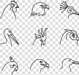 Birds Species   Sketch  HD Png Download
