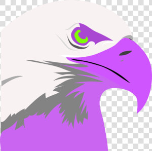 Clipart Fire Eagle   Bald Eagle Clip Art  HD Png Download