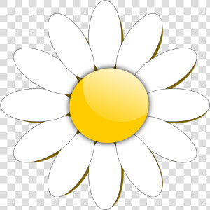 Transparent Daisy Clipart Png   Daisy Flower Clipart  Png Download