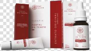 Kit Floral Portal Do Tempo  HD Png Download