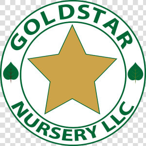 Gold Star Nursery  HD Png Download