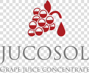 Logo Jucosol Nuevo   Jucosol Logo  HD Png Download