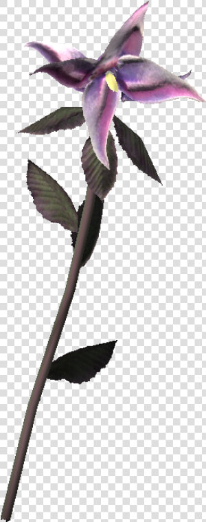 Nightshade   Skyrim Obscurcine  HD Png Download