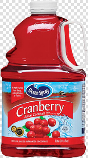 Cranberries Png  Transparent Png