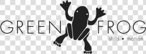 Toad   Png Download   Toad  Transparent Png