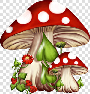 Red And White Mushrooms Clipart   Png Download   Fairy Mushroom Png  Transparent Png