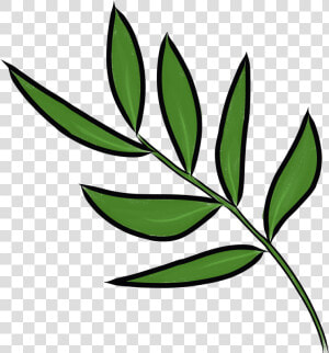 Persicaria Minor Clipart   Png Download   Daun Png  Transparent Png