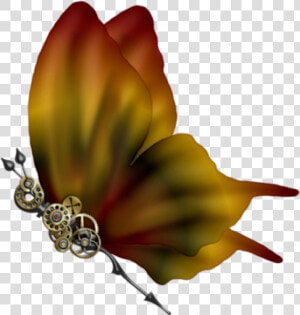 Transparent Steampunk Butterfly Png   Butterfly  Png Download