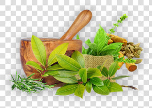 Ayurveda Png  Transparent Png