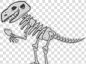 Transparent Background Dinosaur Bones Clipart  HD Png Download