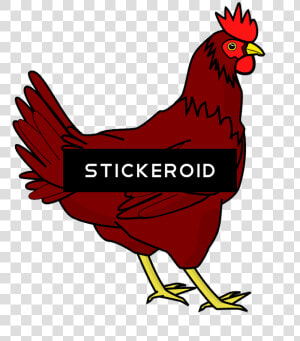 鸡png透明图像 鸡 Chicken Clip Art   Png Download   Chicken Clipart Transparent Background  Png Download